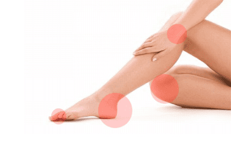 Plantas antiinflamatorias